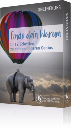 Finde dein Warum – in 12 Schritten zu deinem inneren Genius