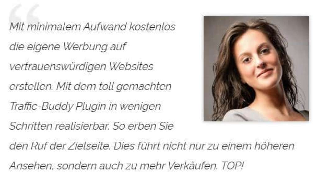 Traffic Buddy die beste Traffic Software 2020 3 erfahrungen-nutzer-meinung-traffic-buddy-wordpress-plugin