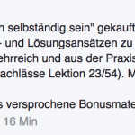 Erfolreich selbstständig sein (für Kreative) - Calvin Hollywood - becomePro