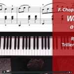 Spielend Klavier lernen - Onlinekurs mit Franz Titscher - becomePro