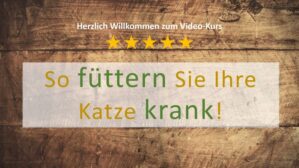katzenernaehrung-katze-fuettern-kurs-haustier-campus