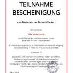 Erste Hilfe Onlinekurs inkl. Teilnahmebescheinigung - becomePro erste-hilfe-kurs-online