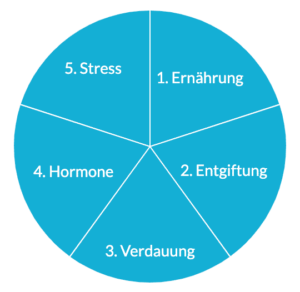 "Endlich frei von Akne" Onlinekurs von Dr. Julia Lämmerhirt 3