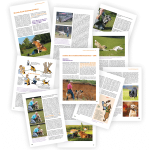 Ich halte dich! 2 - Hunde-Ratgeber von Mirjam Cordt - becomePro Ich halte dich! 2 - Hunde-Ratgeber von Mirjam Cordt - becomePro