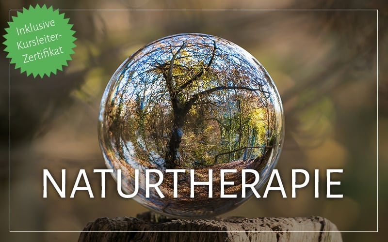 Kurs "Naturtherapie" inkl. Kursleiter-Zertifikat - becomePro