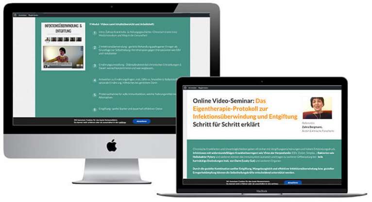 Online-Seminar Eigentherapie und Temperamentelehre