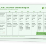 ernaehrungsplaner-vorlage