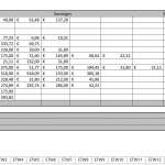 VermieterTools – Arbeitshilfen für Vermieter - Alexander Vermietertagebuch Raue - becomePro Excel-für-Immobilien-Steuererklärung
