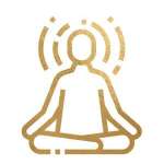 GO! - Der Onlinekurs mit Damian Richter - becomePro