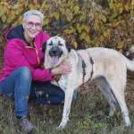 Wecke den "Optimisten" im Hund - Onlinekurs von Mirjam Cordt 3 Wecke den "Optimisten" im Hund - Onlinekurs von Mirjam Cordt 3