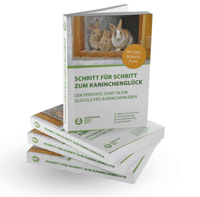 Kaninchen Ratgeber 🐇 "Schritt für Schritt zum Kaninchenglück"