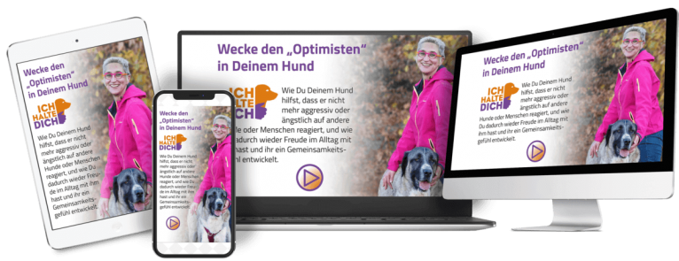 Wecke den "Optimisten" im Hund - Onlinekurs von Mirjam Cordt