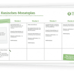 monatsplaner-vorlage