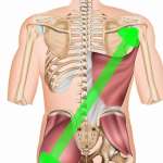 Nie wieder Läuferknie - Übungen zur Schmerzlinderung - Luke Brandenburg - becomePro