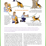 Ich halte dich! 2 - Hunde-Ratgeber von Mirjam Cordt - becomePro Ich halte dich! 2 - Hunde-Ratgeber von Mirjam Cordt - becomePro