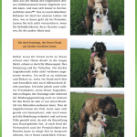 Ich halte dich! 2 - Hunde-Ratgeber von Mirjam Cordt - becomePro Ich halte dich! 2 - Hunde-Ratgeber von Mirjam Cordt - becomePro