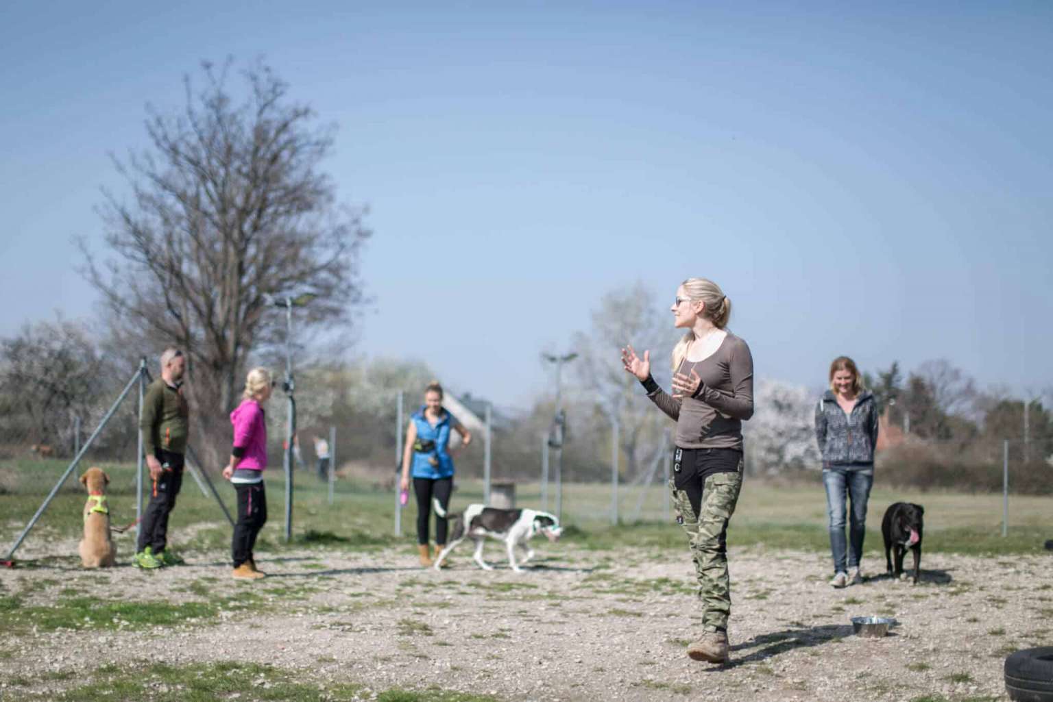 Martin Rütter DOGS Hundeschule mit Conny Sporrer •