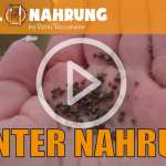 Survival Nahrung by Reini Rossmann - becomePro