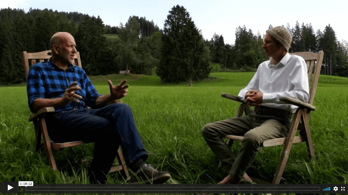 Apitherapie - Die Heilwerte aus dem Bienenvolk - Videokurs von "Der Gesundcoach" 3