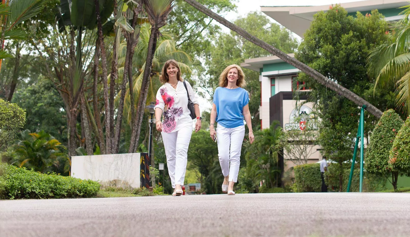 BaZi Power Plan - Lerne deine Energie optimal einzusetzen von BAZI Akademie - becomePro BaZi Power Plan - Lerne deine Energie optimal einzusetzen von BAZI Akademie - becomePro