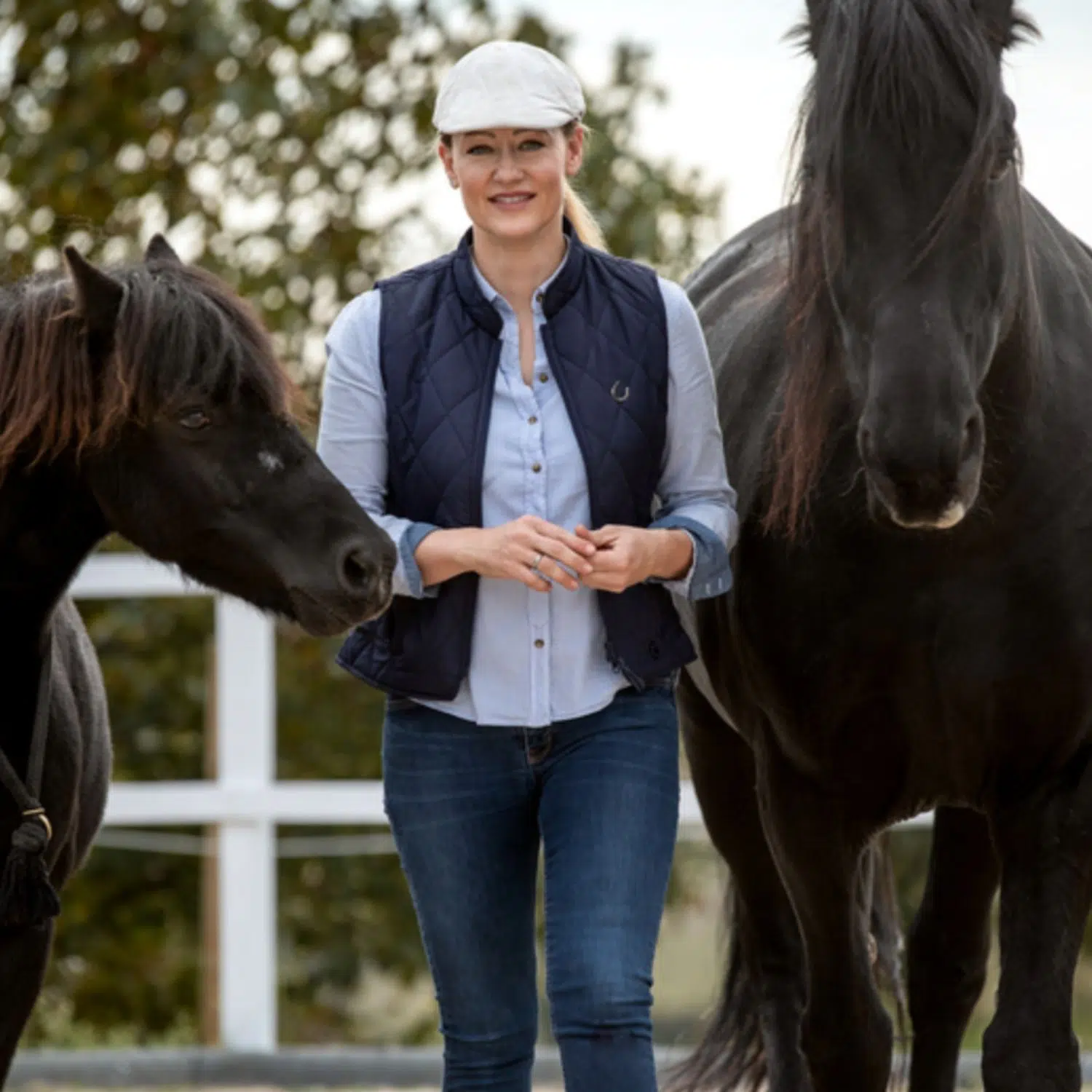 Werde ein Pferdemagnet - Onlinekurs von Petra Carey von Pferdeflüsterei - becomePro Werde ein Pferdemagnet - Onlinekurs von Petra Carey von Pferdeflüsterei - becomePro