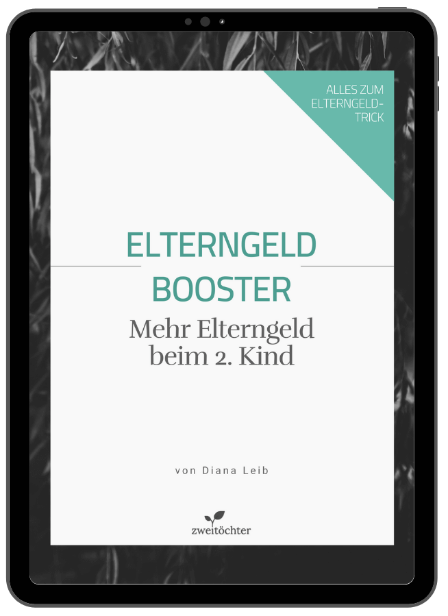 Videokurs "Elterngeld Booster" von Zweitöchter mit Diana Leib 2 Videokurs "Elterngeld Booster" von Zweitöchter mit Diana Leib 1