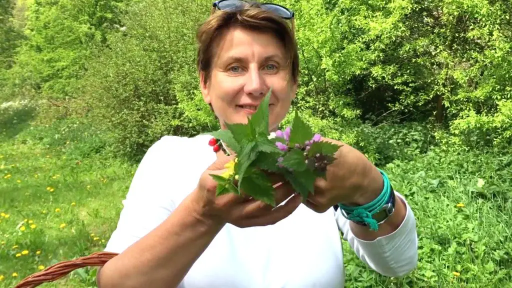 gabriele-wildkrauter-online-kurs