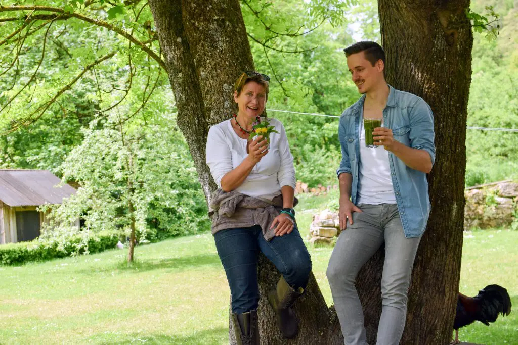 wildkraeuter-kurs-online