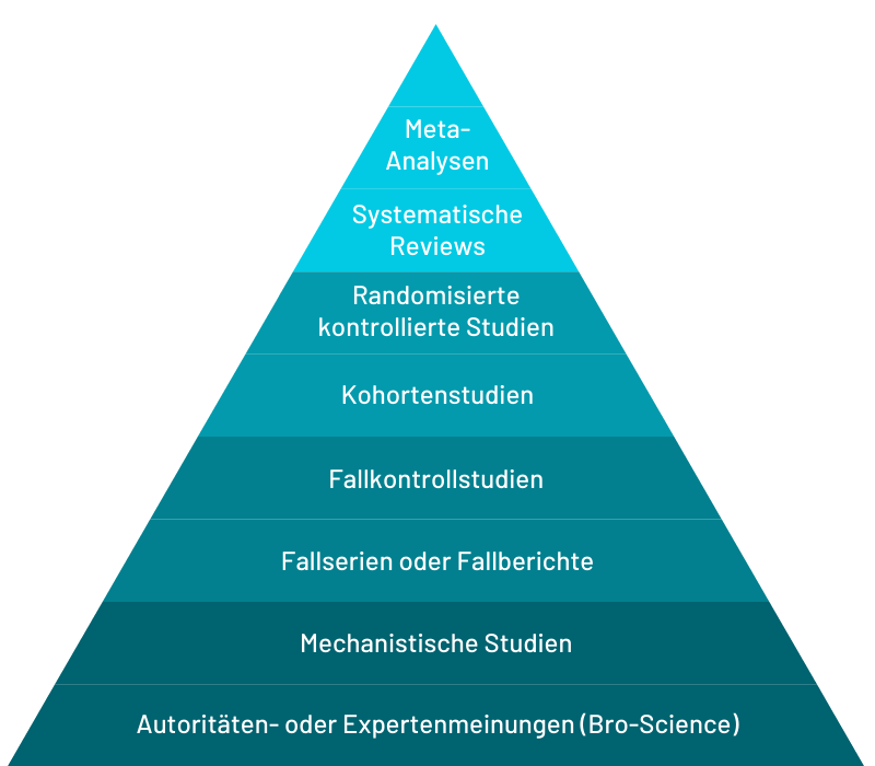 MyFitCoach - Das Fitness Programm für effektiven Muskelaufbau von Dr. Tim Würth - becomePro MyFitCoach - Das Fitness Programm für effektiven Muskelaufbau von Dr. Tim Würth - becomePro