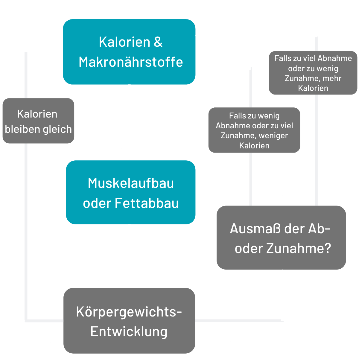 MyFitCoach - Das Fitness Programm für effektiven Muskelaufbau von Dr. Tim Würth - becomePro MyFitCoach - Das Fitness Programm für effektiven Muskelaufbau von Dr. Tim Würth - becomePro