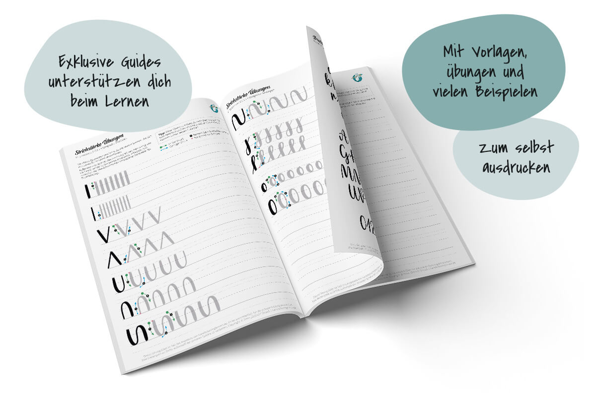 Handlettering Online Kurs mit Tino Ostrich - becomePro Handlettering Online Kurs mit Tino Ostrich - becomePro