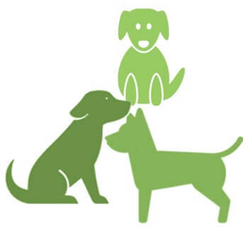 Clickertraining mit Hund - Onlinekurs mit Antje Hebel - becomePro