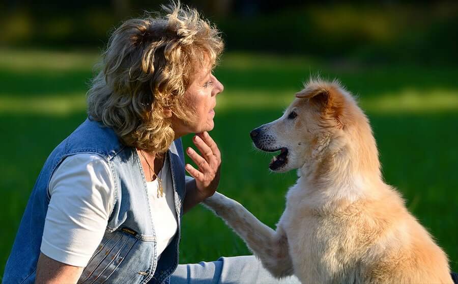 CaniKo - Hunde verstehen - Coaching mit Antje Hebel 1 CaniKo - Hunde verstehen - Coaching mit Antje Hebel 1