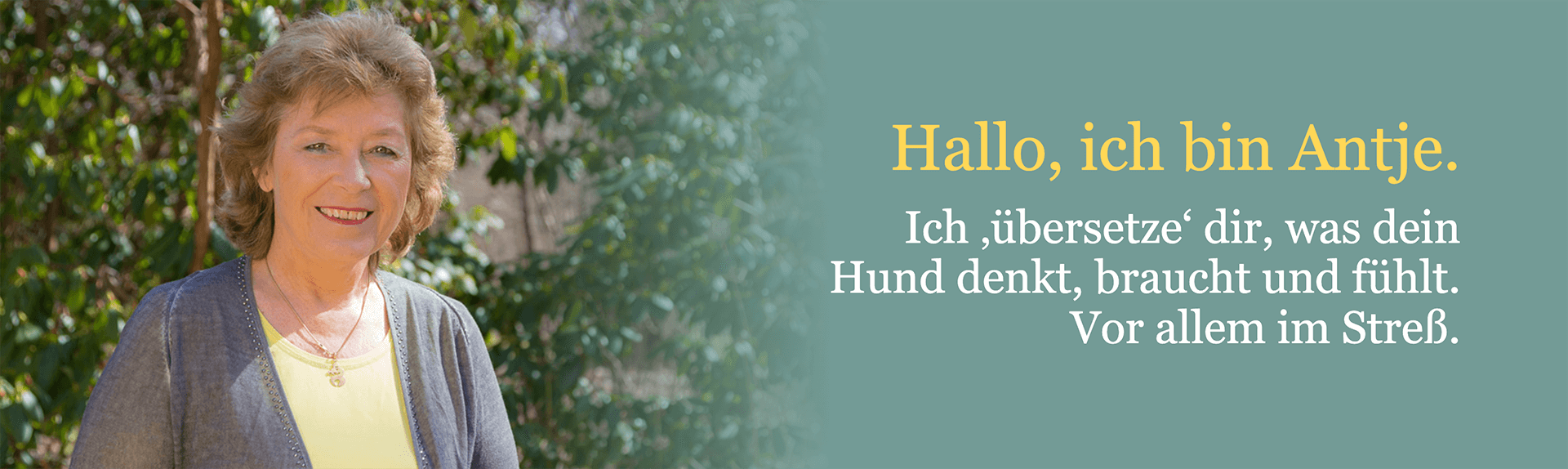 antje-hebel-onlinekurse