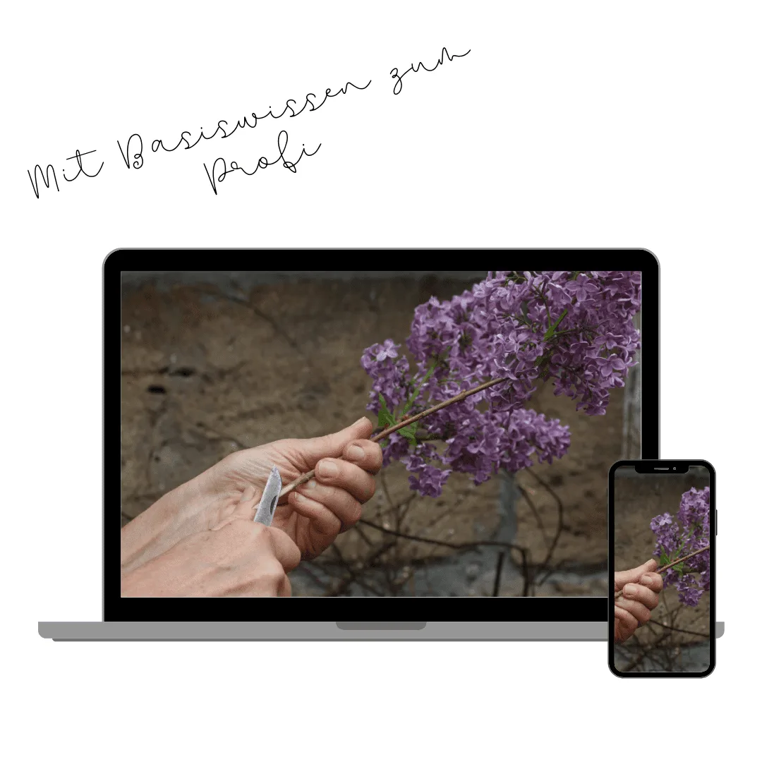 Produktbild Laptop und Smartphone zeigen Floristik-Kurs-Inhalte