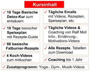 Infografik mit Kursinhalt: 10 Tage Detox-Kur, Speiseplan, 66 Rezepte, Koch-Videos, E-Mails, Coaching, Downloadmaterialien