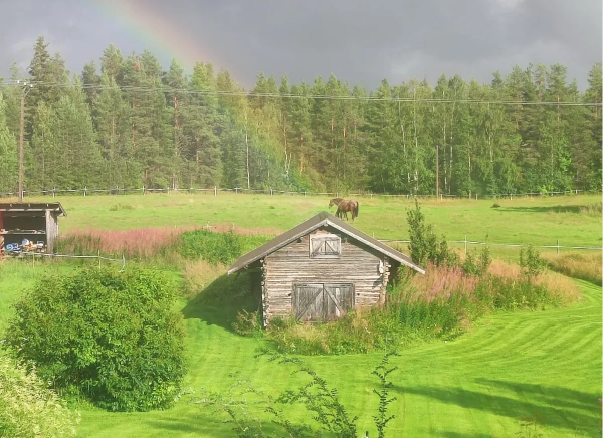 Pferdeweide mit Regenbogen, Stallgebäude, Wald im Hintergrund