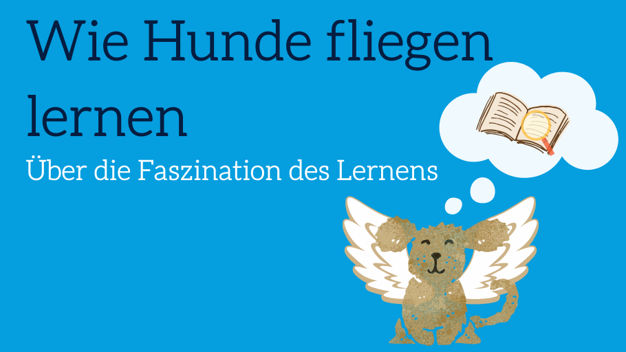 Wie Hunde fliegen lernen - Über die Faszination des Lernens