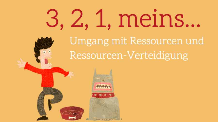 Videokurs 3, 2, 1 meins zum Umgang mit Ressourcen und Ressourcen-Verteidigung
