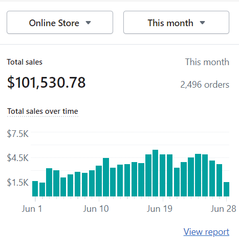 Screenshot Online-Store Dashboard mit Verkaufsstatistiken und Umsatzentwicklung Juni