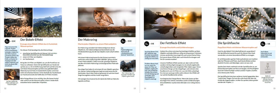 Galerie mit vier Fotografie-Techniken: Bokeh-Effekt mit Lichtern, Makrofotografie eines Schmetterlings, Landschaft bei Sonnen