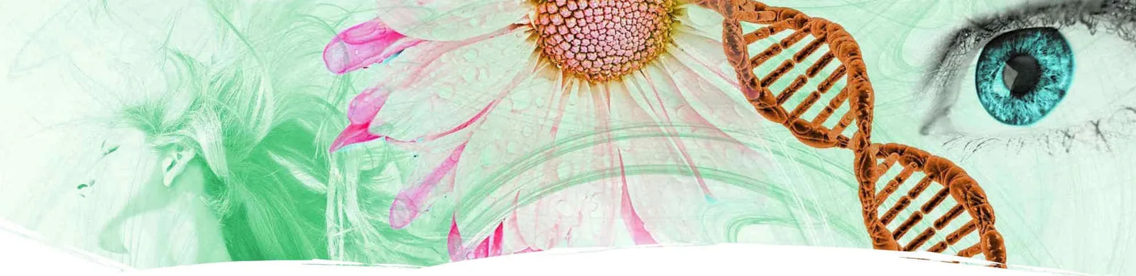 Banner mit Naturheilkunde-Symbolen, DNA-Strang, Auge und Blüten zu Schöpferinsel Heilkunde