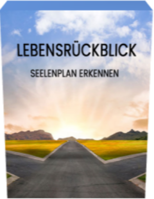 Buchcover Lebensrückblick Seelenplan mit Straße und Horizont