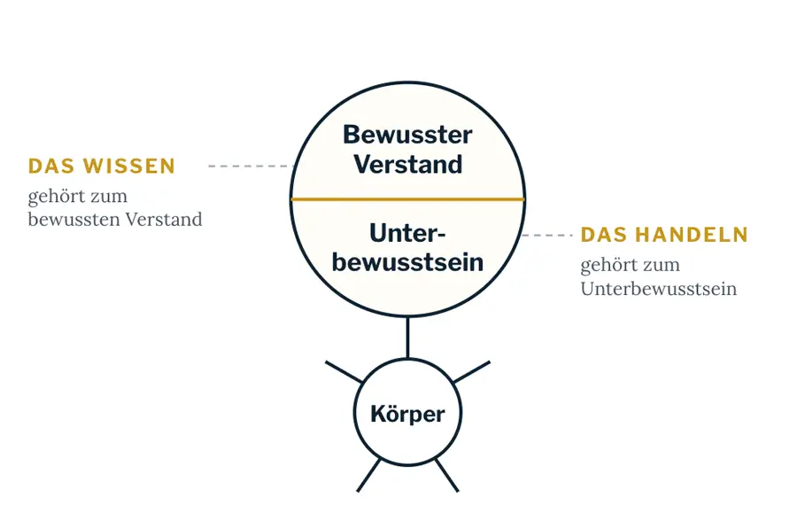 6 Minuten zum Erfolg – Mindset-Videokurs als Mitgliedschaft 1 Diagramm zum bewussten Verstand mit Unterteilung in Bewusstsein und Unterbewusstsein, verbunden mit Körper