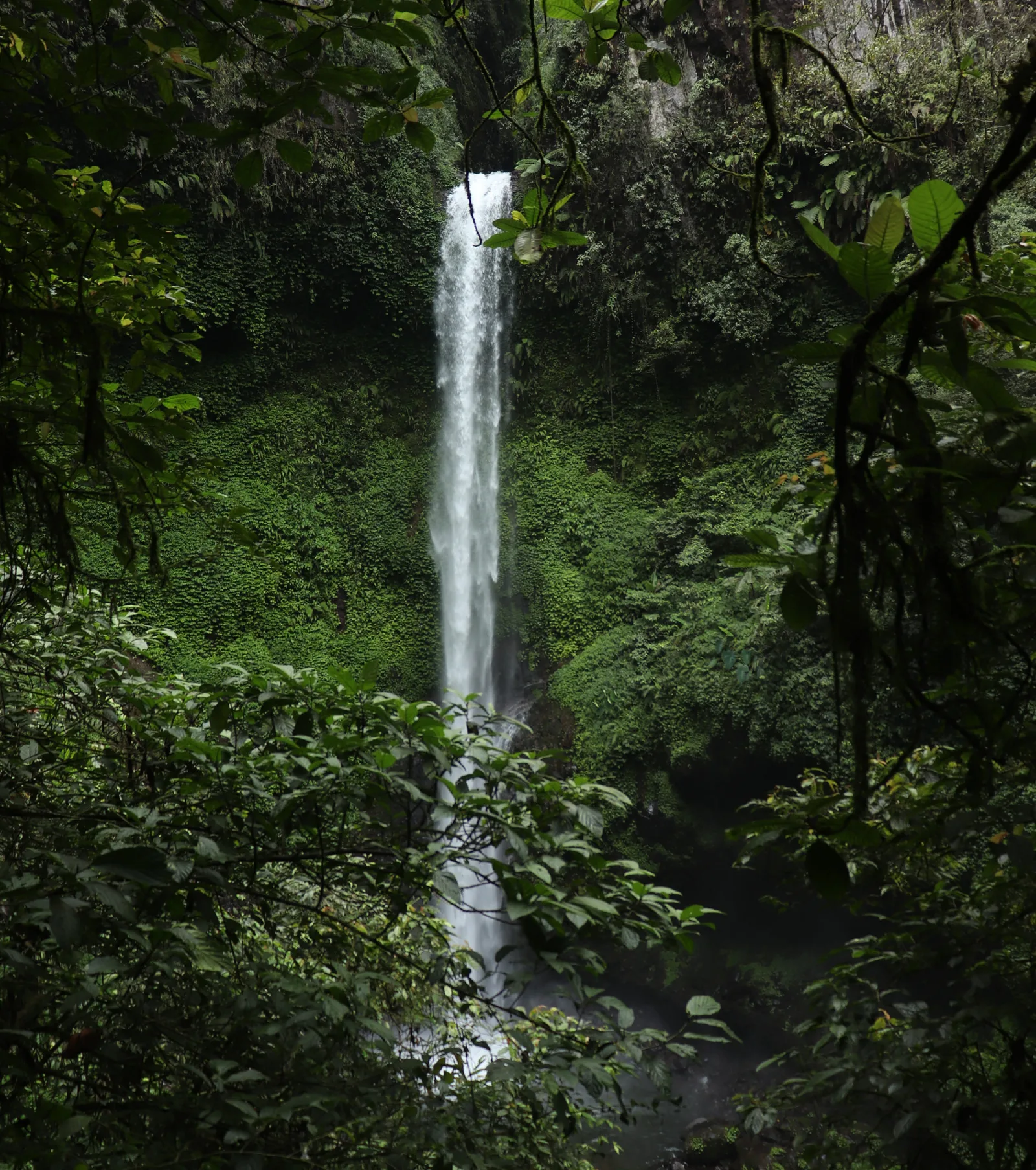 Wasserfallkaskade im üppigen grünen Urwald, umgeben von dichtem Blattwerk und Vegetation