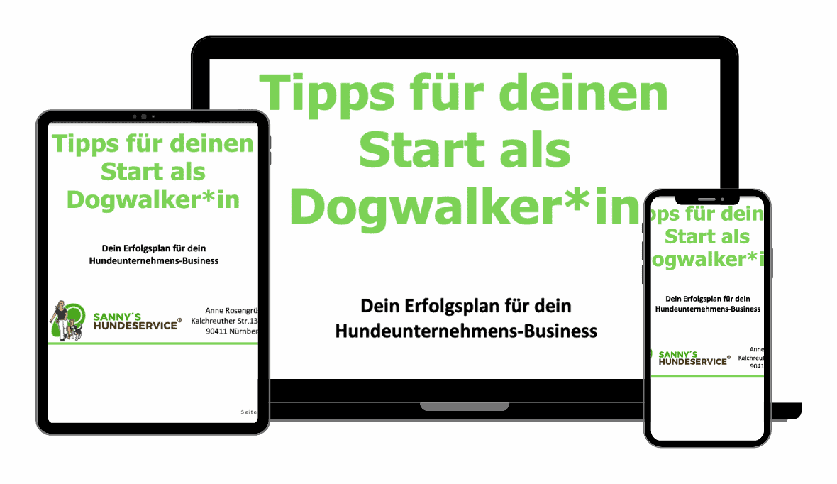Hund Tagesbetreuung in Nürnberg