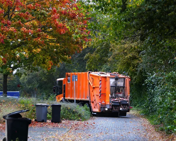 9 Tage Urlaub für deinen Stoffwechsel von Rita Maria Strondl 3 Orange Müllauto im Herbstwald mit gefallenen Blättern