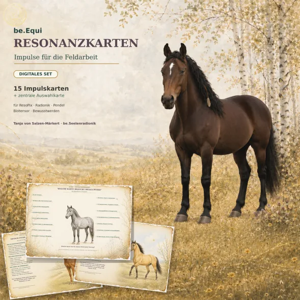 Cover be.Equi Resonanzkarten mit Pferd und Impulskarten zur Feldarbeit
