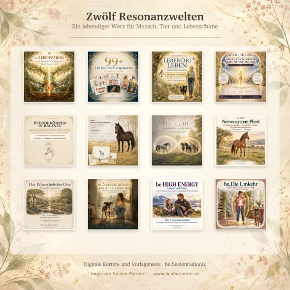 Übersicht der Zwölf Resonanzwelten mit 12 verschiedenen Produktcovern und Titeln
