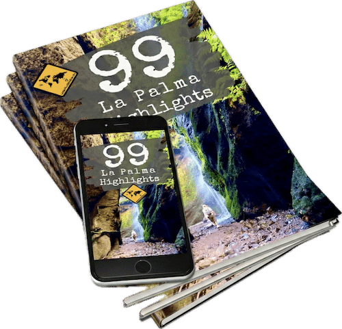 E-Book und Smartphone Mockup mit Magazinen und 99 La Palma Highlights